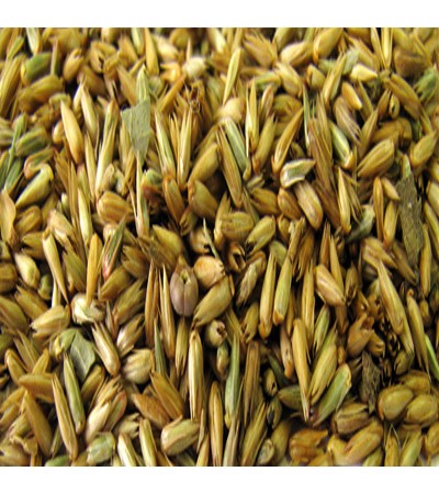 APAMARGA SEED WHOLE