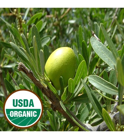 Argan Oil Virgin ORGANIC 