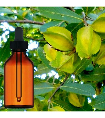 Arjuna Bark Liquid Extract