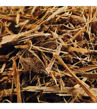 ASHOKA TREE BARK C/S