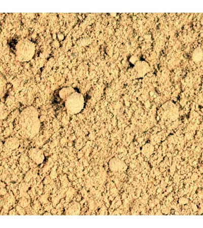 Burdock Root P.E. 4:1