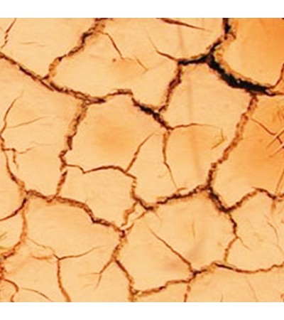 Mitti Baked Earth Soil Attar