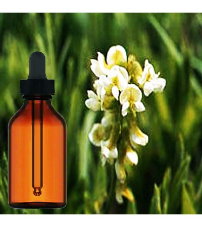 Bangalala Root Tincture