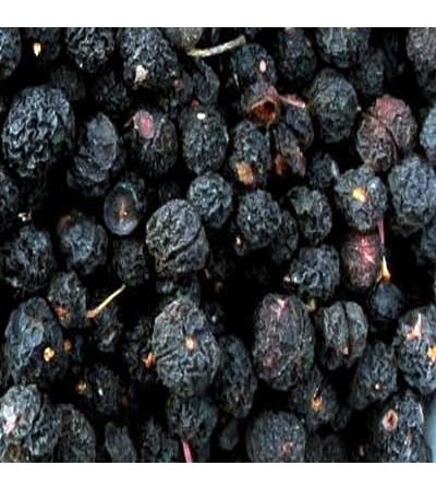 BILLBERRY FRUIT (UNSWEETENED DRIED NATURAL)