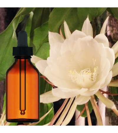 Cactus Liquid Extract