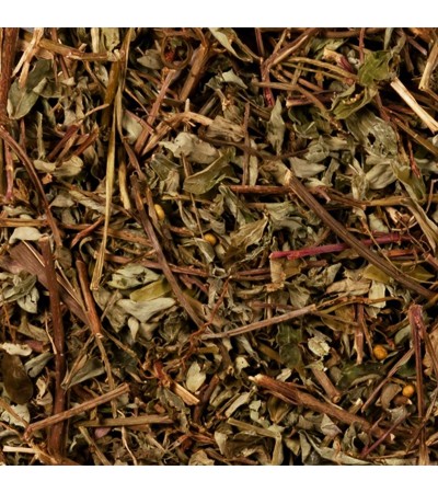 BHUI AMLA (CHANCA PIEDRA) C/S