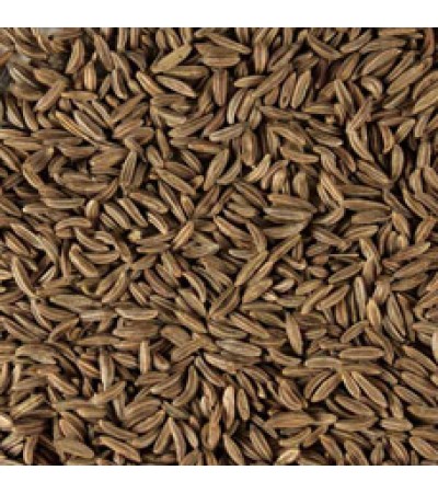 CARAWAY SEED POWDER