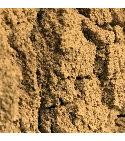 Cascara Sagrada P.E. 4:1