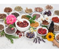 Herbs