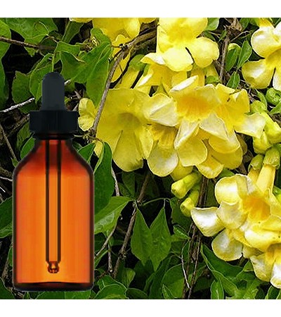 Cat's Claw Liquid Extract 