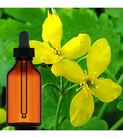 Celandine Herbal Tincture
