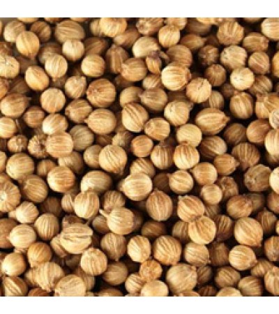 CORIANDER SEED WHOLE