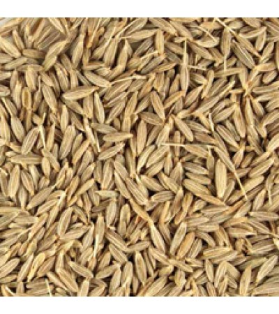 CUMIN SEED WHOLE