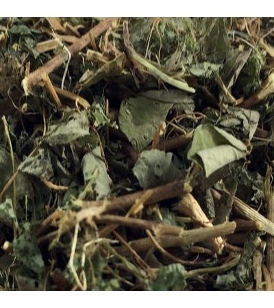 DESMODIUM ADSCENDENS