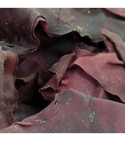 DULSE WHOLE