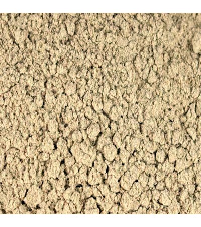 ECHINACEA PURPUREA ROOT POWDER