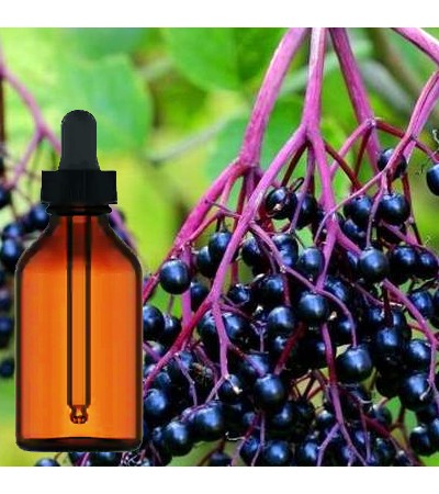 Elderberry Liquid Extract 