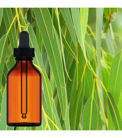 Eucalyptus Herbal Tincture