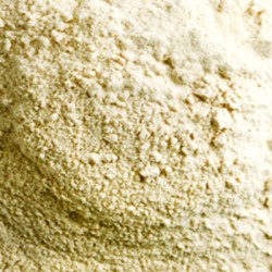 Garlic P.E. 4:1