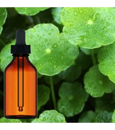 Gotu Kola Liquid Extract