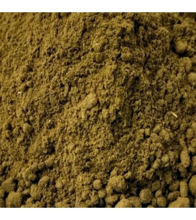 Gymnema Sylvestris P.E. 4:1