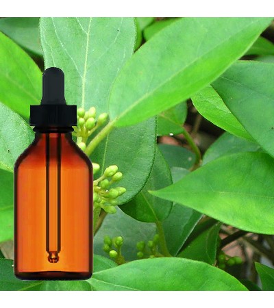 Gymnema Leaf Liquid Extract