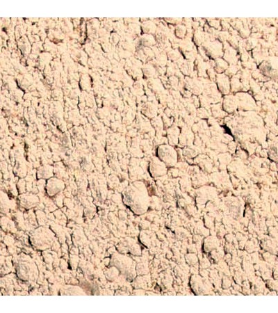 HORSE CHESTNUT POWDER