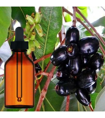 Jambul Fruit Liquid Extract