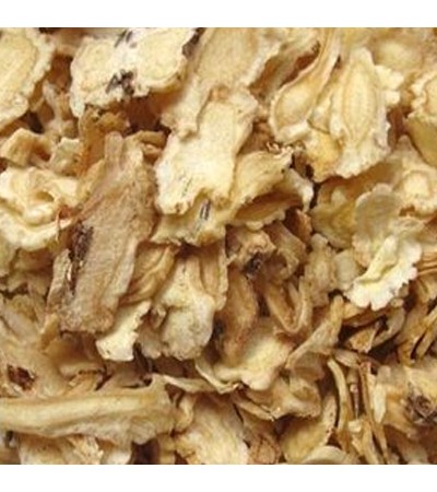 BALLOON ROOT (JIE GENG)