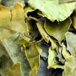 KAFFIR LEAVES 