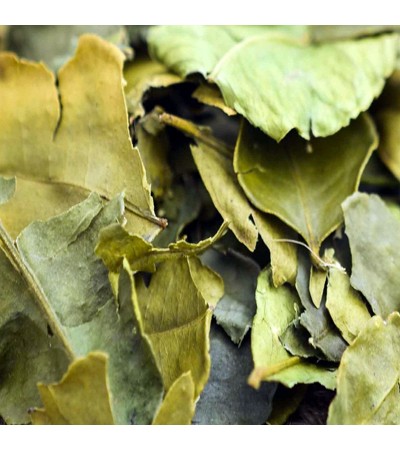 KAFFIR LEAVES 