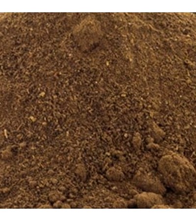 Reishi mushroom S.E 10percent