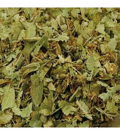 LINDEN LEAVES FLOWER WHOLE