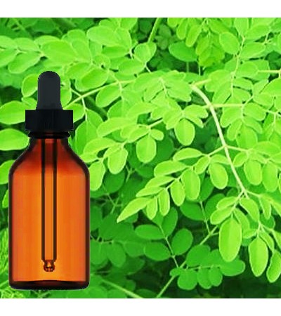Moringa Leaves Liquid Extract
