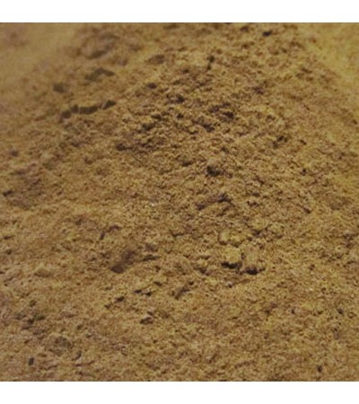 Motherwort Extract Powder