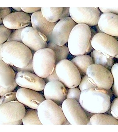 MUCUNA PRURIENS WHOLE