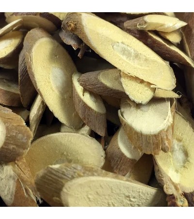 MULBERRY TWIG SLICES