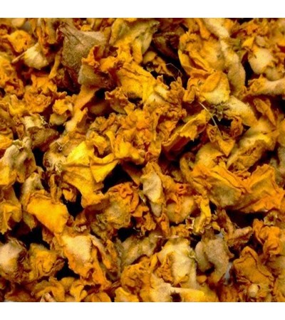 MULLEIN FLOWER WHOLE