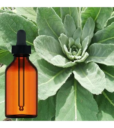 Mullein Leaf Liquid Extract