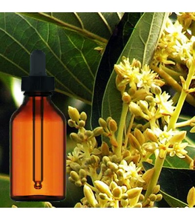 Muira Puama Liquid Extract