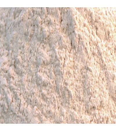 PANAX GINSENG ROOT POWDER 