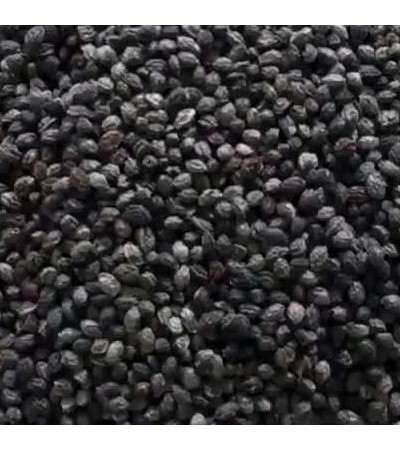 PAPAYA SEEDS WHOLE