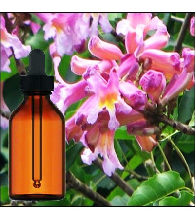 Pau D'arco Bark Tincture