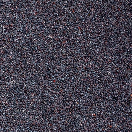 POPPY SEED BLUE