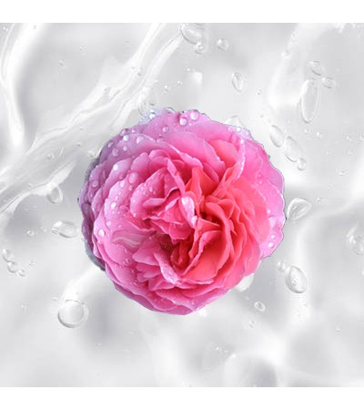 Rose Water Gel