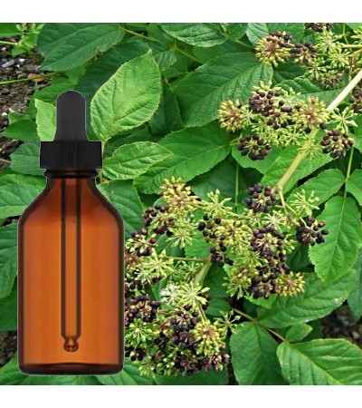 Sarsaparilla Root Tincture