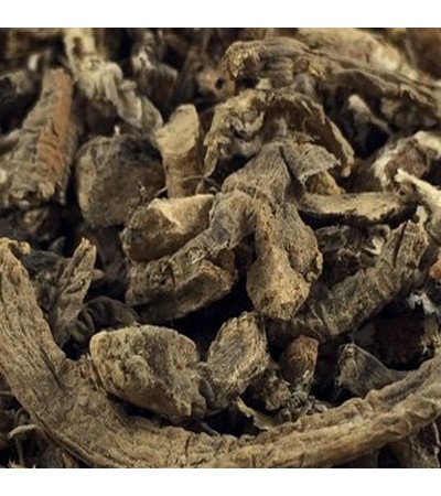 SKUNK CABBAGE ROOT WHOLE 