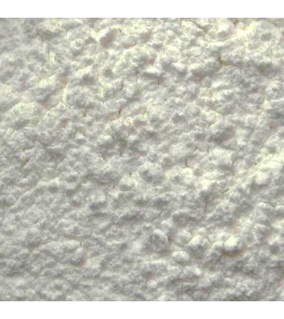 Saw Palmetto Berries P.E. 4:1