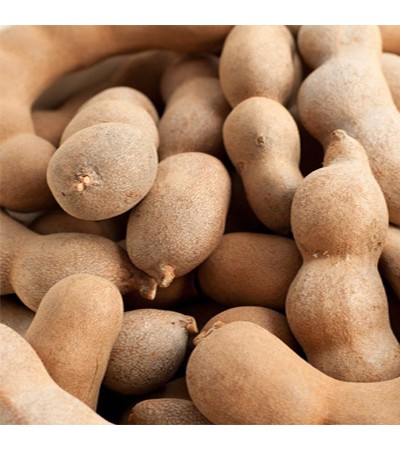 Tamarind Seed Extract