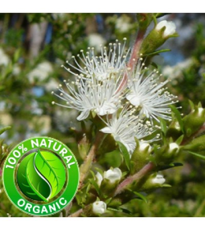 Tea Tree Lemon Essential OIl